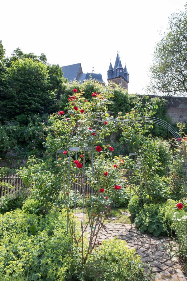 Schloss Spangenberg מראה חיצוני תמונה